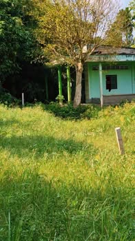 Đất Thổ Cư Vĩnh Long 212m² Gần Cầu Cần Thơ - Sổ Hồng Sẵn Sàng