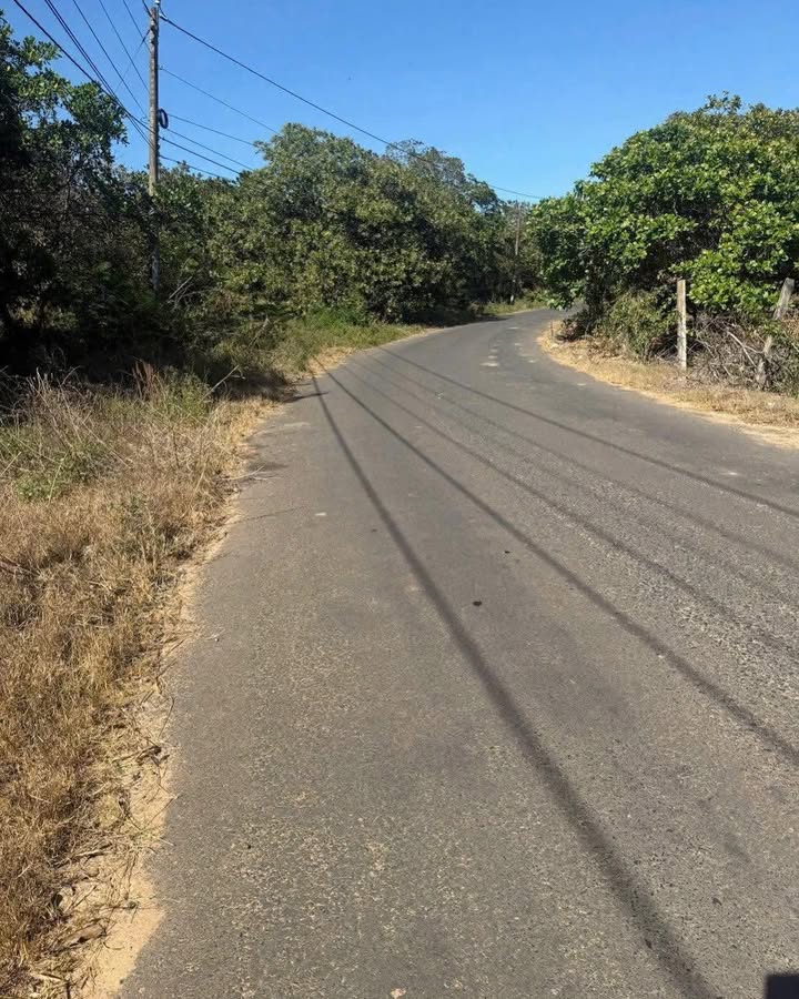 Bán 8.4ha đất Bàu Lâm Xuyên Mộc mặt tiền nhựa - Sổ hồng sẵn