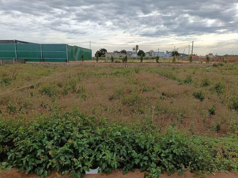 Đất nền Liên Nghĩa Đức Trọng 80m² giá 780 triệu - Sổ đỏ chính chủ!