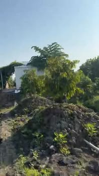 Bán Đất Vườn Sầu Riêng 6000m² Xã Hậu Mỹ, Tiền Giang - 3.6 Tỷ