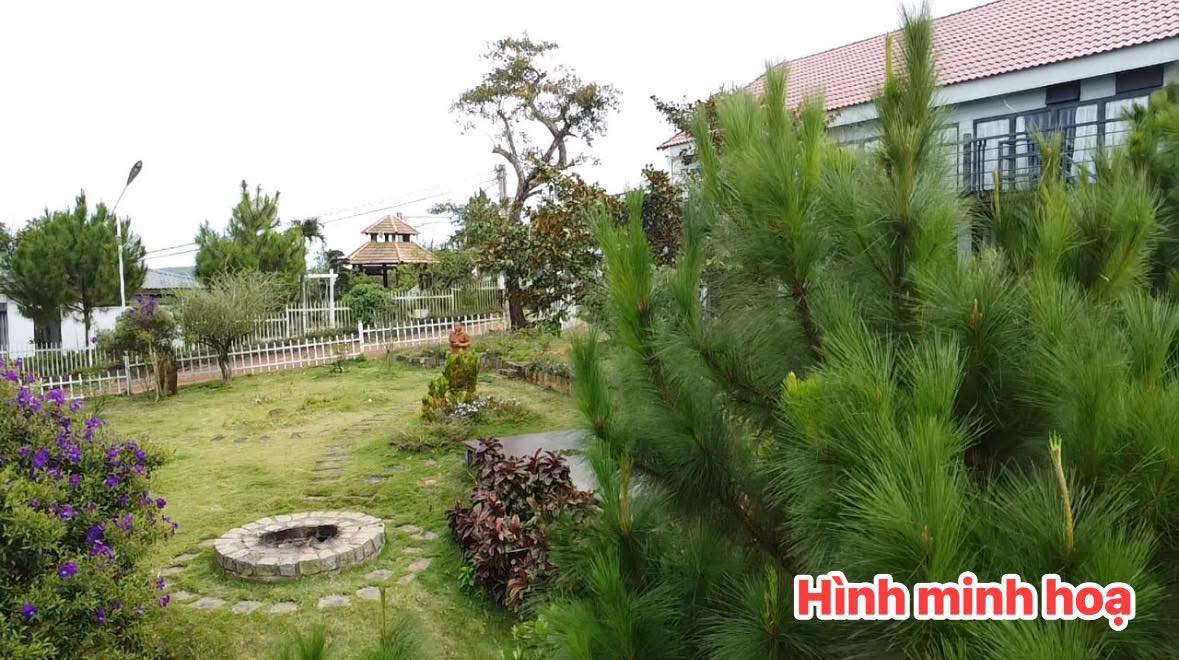 Đất Cư Jút Đắk Nông 848m² - 350 triệu - Sổ đỏ chính chủ, xây dựng tự do!