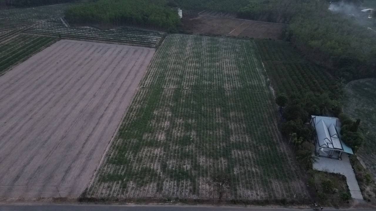 Đất nền 4875m² mặt tiền nhựa Hòa Thành, Tây Ninh - Sổ đỏ sẵn sàng