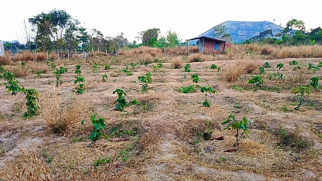 Đất nền Pleiku 10.000m² - Tiềm năng tăng giá vượt trội!