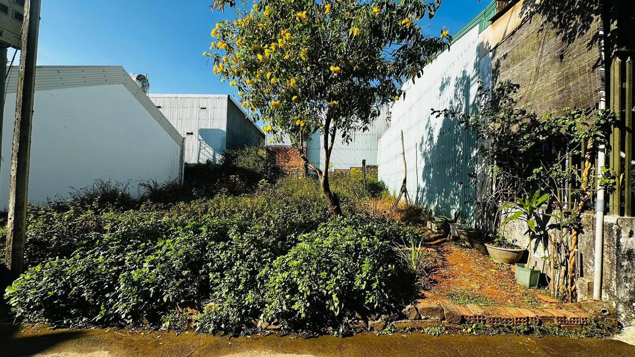 Đất nền Phường Hoa Lư Pleiku 96m² hơn 1 tỷ - Sổ đỏ chính chủ