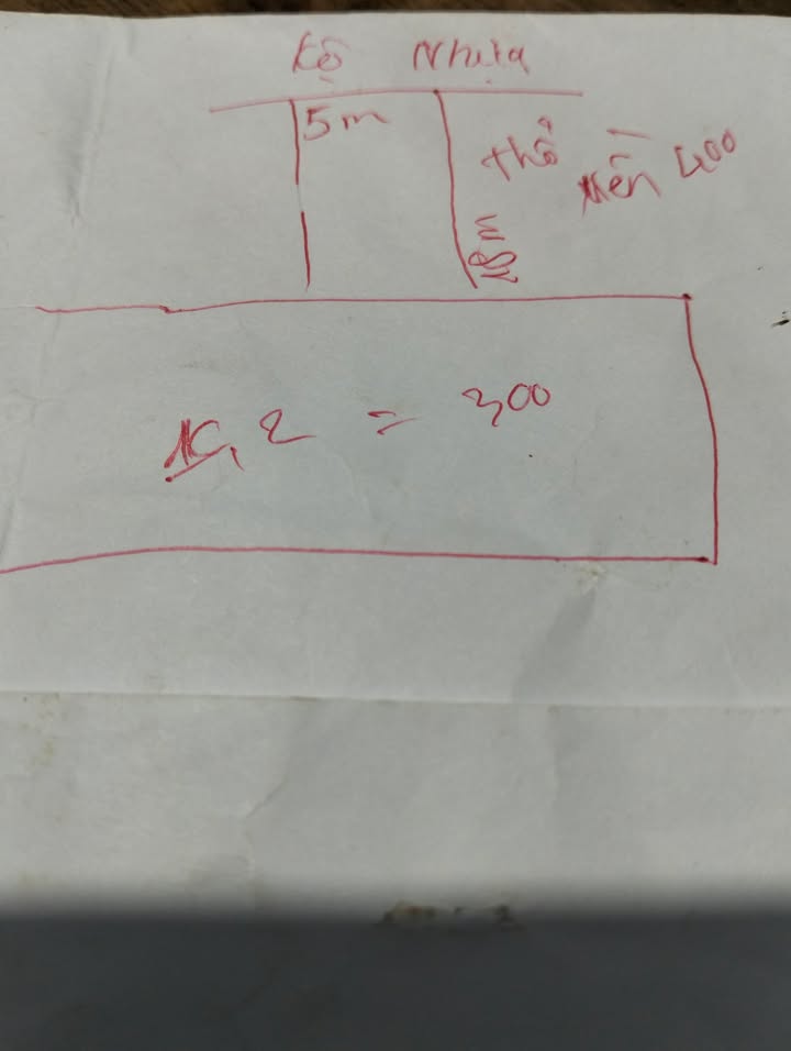 Bán Đất Tháp Mười 1205m² Mặt Tiền Lộ Nhựa - Giá 700 Triệu