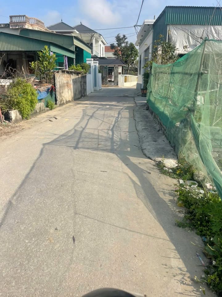 Bán Gấp 2 Lô Đất Liền Kề Trục Chính Tân Tiến, Quỳnh Lưu - 115m²/lô, Giá 1.3 Tỷ/lô