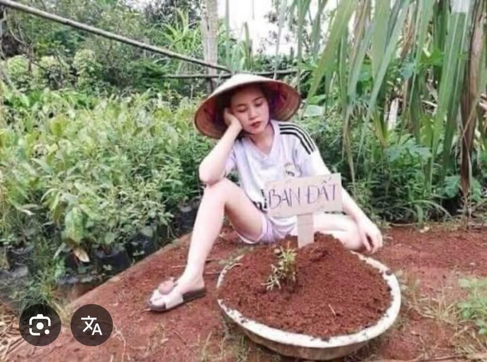 Đất nền Hương Khê Hà Tĩnh 240m² - Sổ đỏ chính chủ!