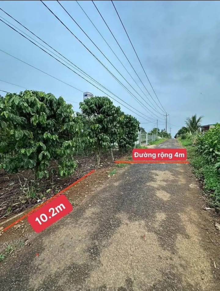 Đất nền Phường 2 Bảo Lộc 500m² giá 990 triệu - Sổ đỏ chính chủ!