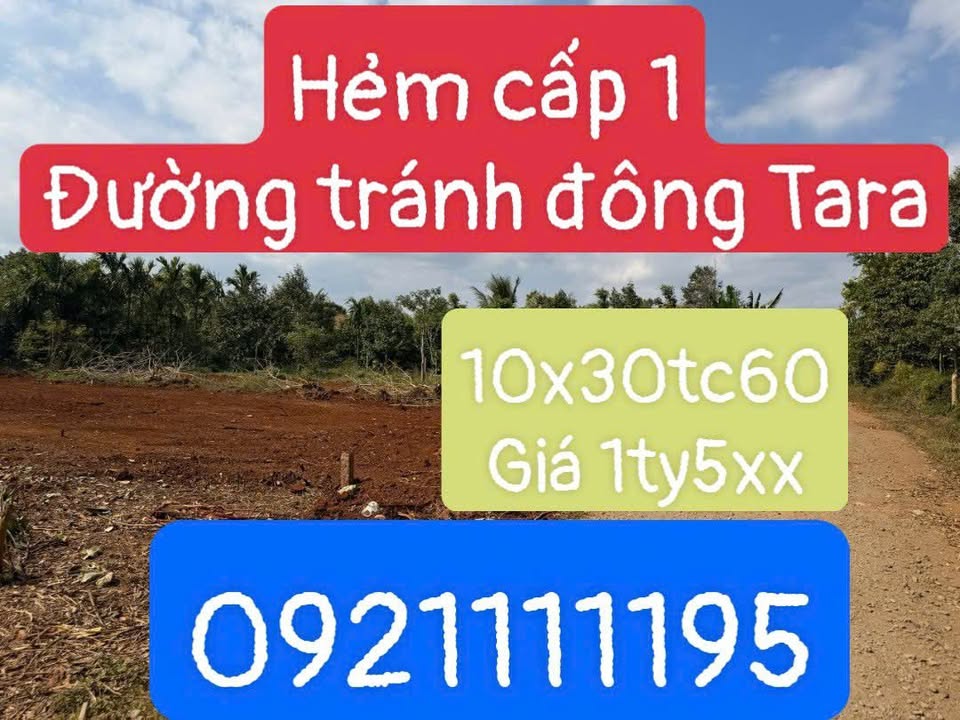 Bán Đất 300m² Tara - Hẻm Cấp 1 Tránh Đông, Bình Tân - 1.5 Tỷ