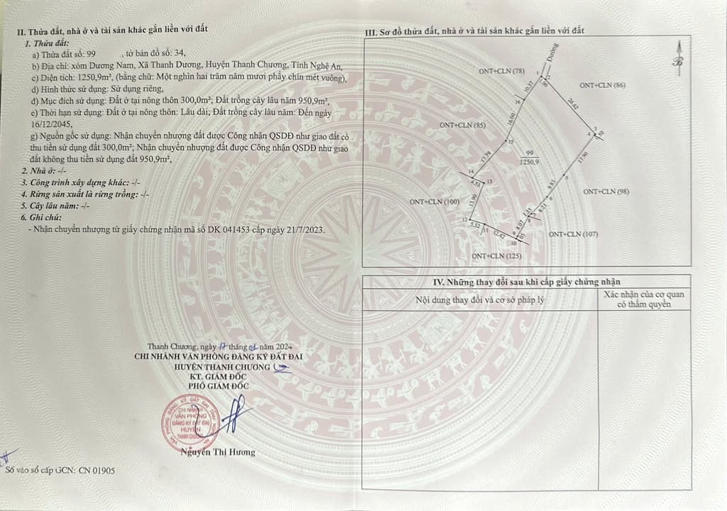 Đất nền Thanh Dương Thanh Chương 1259m² - Sổ đỏ chính chủ giá tốt