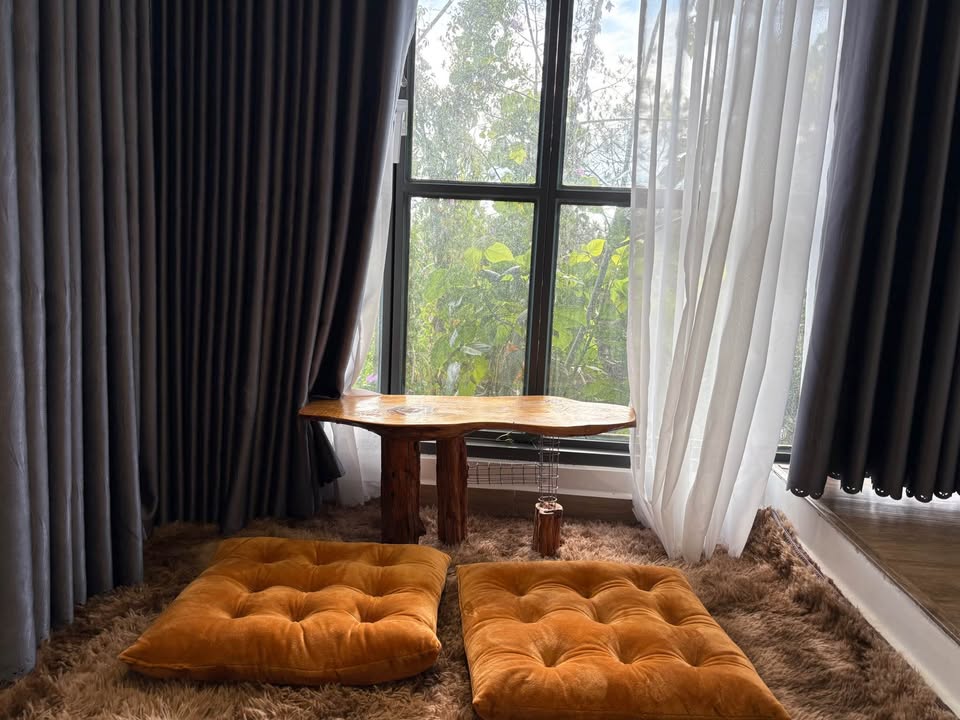 Homestay Đà Lạt Nguyên Căn View Rừng Thông - Sức Chứa 15 Khách