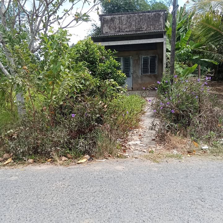 Đất nền Tỉnh lộ 939 Mỹ Tú 145m² giá 450 triệu - Sổ hồng sẵn!