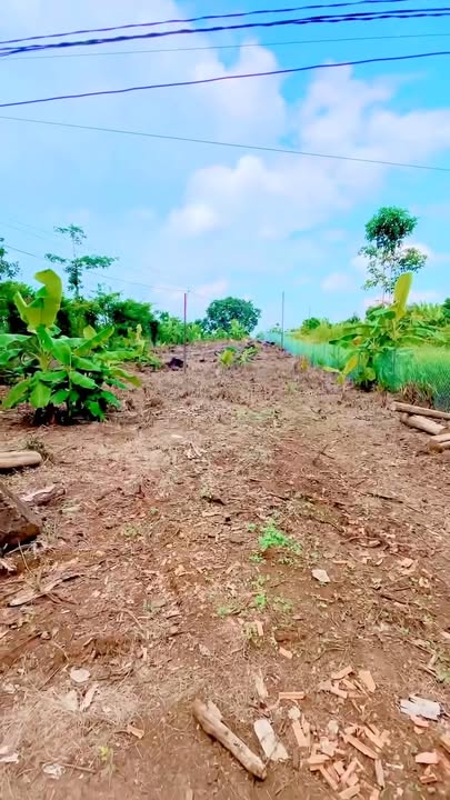 Đất nền Thị trấn Tân Phú 1800m² - Sổ đỏ chính chủ, xây dựng tự do!