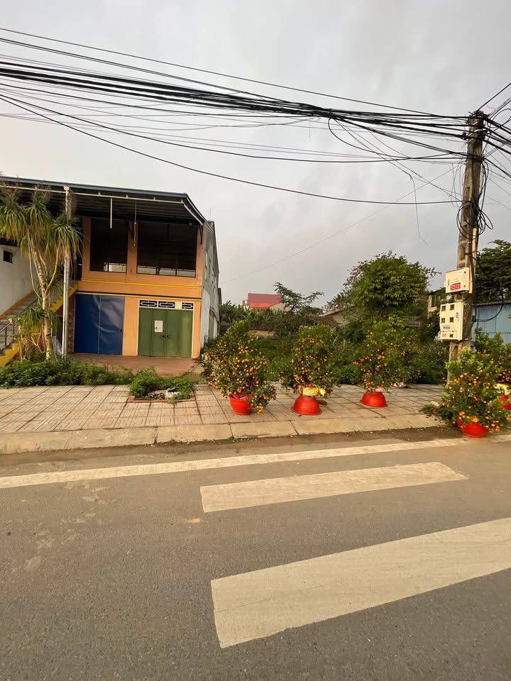 Đất nền Phổ Yên 148m² mặt tiền 5m - Vị trí kinh doanh đắc địa, đón đầu dự án Cityhôm