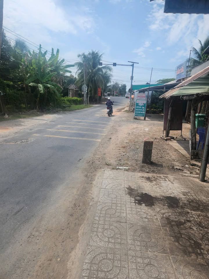 Bán Gấp 1.6ha Vườn Sầu Riêng 9 Năm Tuổi, Xã Trường Long, Phong Điền, Cần Thơ - Giá Đầu Tư 24 Tỷ