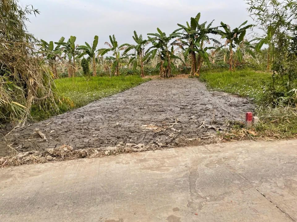 Bán Nền Thổ Cư 110m² Xã Phụng Hiệp, Hậu Giang - Giá 320 Triệu