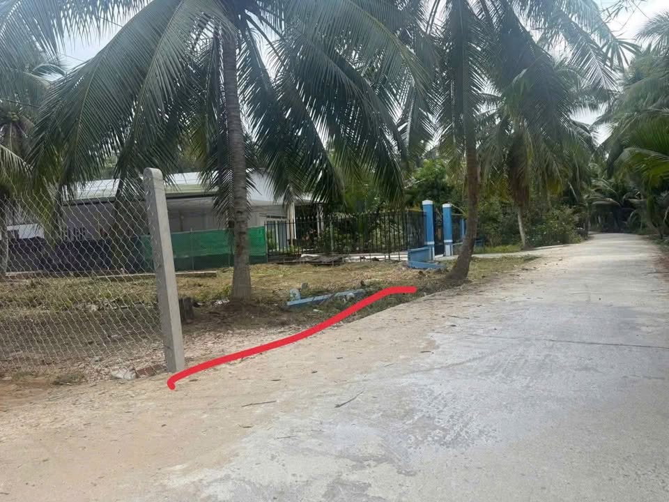 Đất Vườn Mỏ Cày Bắc 539m² Giá 680 Triệu - Nghỉ Dưỡng Lý Tưởng