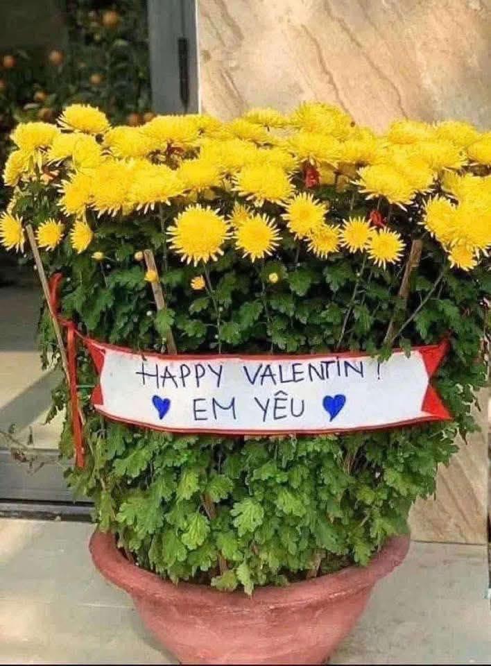 Bán Đất Vĩnh Hòa, Bến Tre 90m² - Sổ Đỏ Thổ Cư, Giá Chỉ 190 Triệu