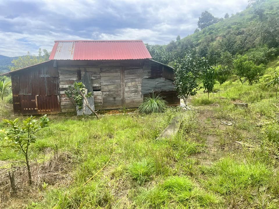 Bán Gấp Đất Vườn Đạ Huoai 3.2ha - Sổ Đỏ Riêng, Giá Đầu Tư 1.3 Tỷ