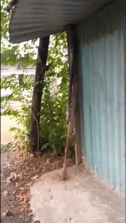 Thuê đất vườn Củ Chi 2500m² giá 7 triệu - Nghỉ dưỡng lý tưởng!