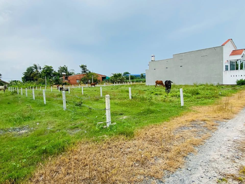 Đất nền 250m² Đồng Khởi, Châu Thành - Giá tốt hiếm có!