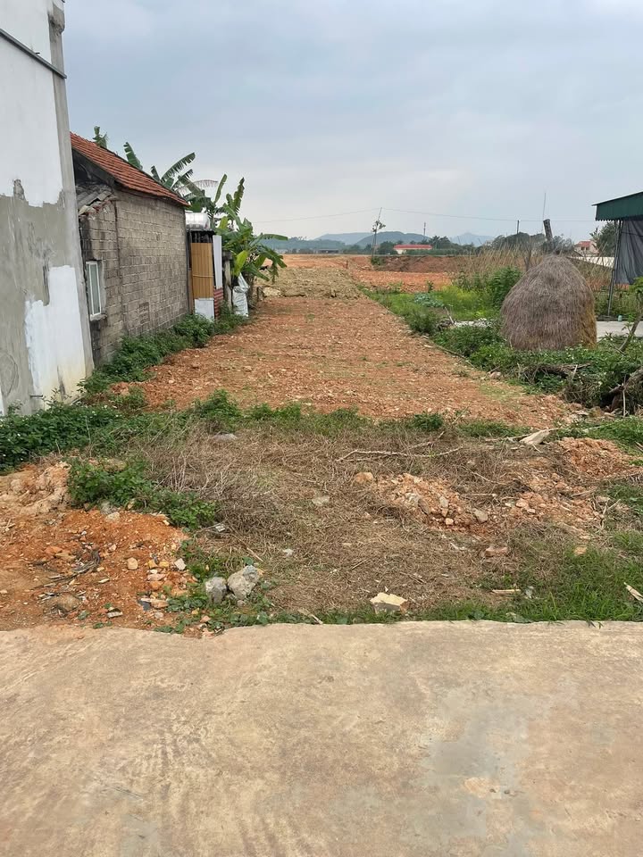 Đất nền Nghĩa Đàn 192m² giá chỉ 350 triệu - Sổ hồng sẵn, đầu tư sinh lời