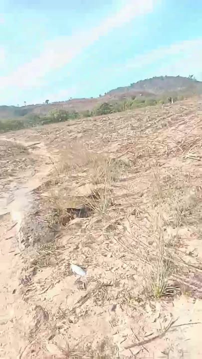 Đất Vườn Xã K' Dang, Đăk Đoa 11ha giá 1 tỷ - Đầu tư dài hạn!