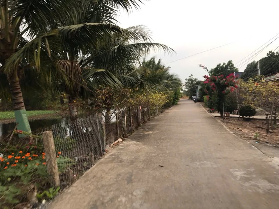 Đất Vườn 200m² Hóc Môn - Chốn An Yên Giữa Lòng Thành Phố