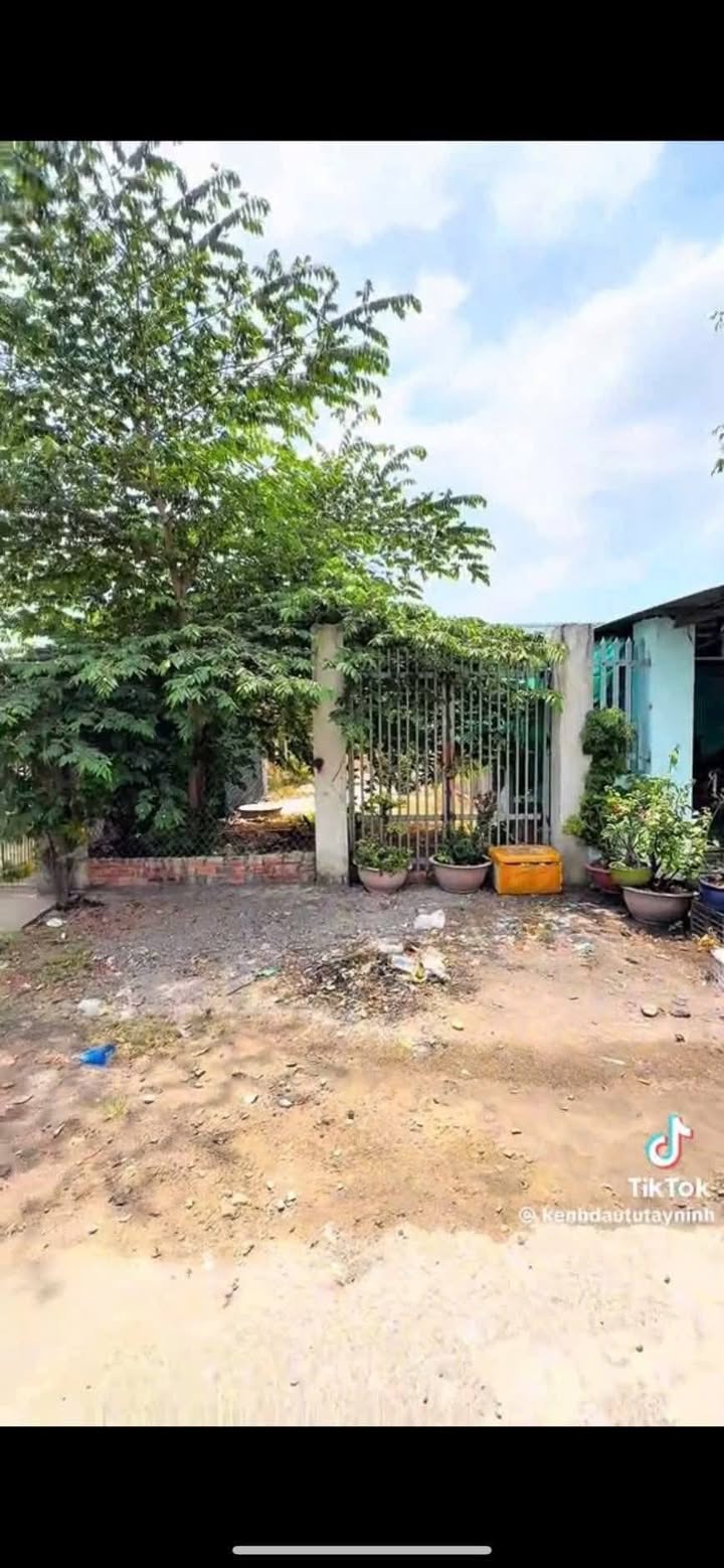 Bán Đất Trục Chính Hẻm 88 Trần Phú, Tây Ninh - 210m² Giá 1.35 Tỷ