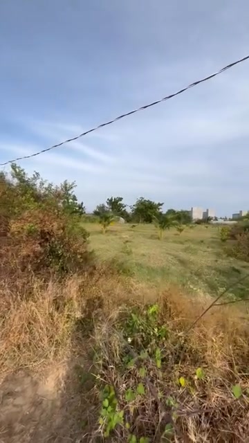 Đất Vườn Ninh Phước 1284m² Giá 890 Triệu - Nghỉ Dưỡng Lý Tưởng!