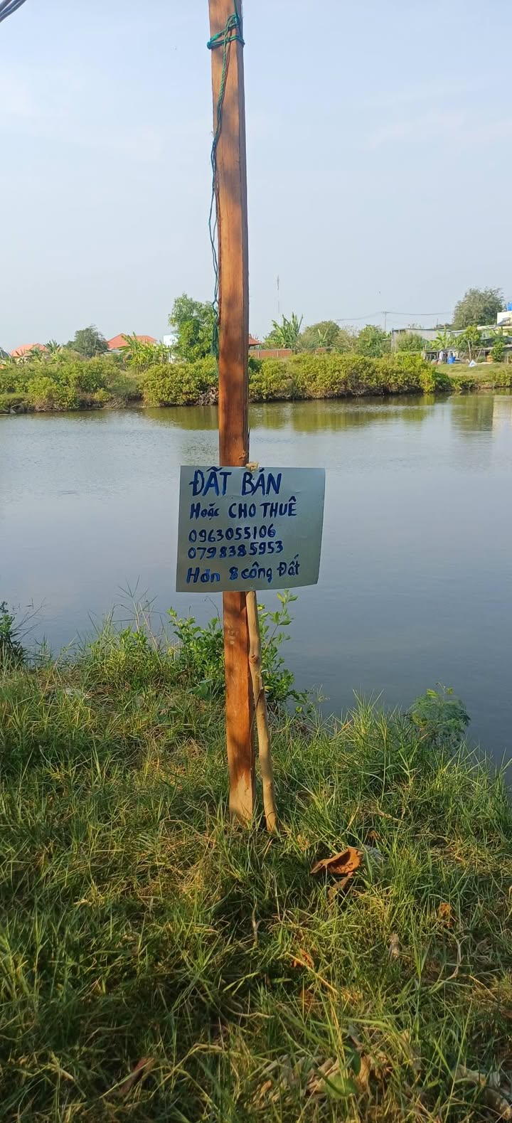 Bán 8000m² đất ao Đại Hòa Lộc, Bình Đại - Giá đầu tư tốt