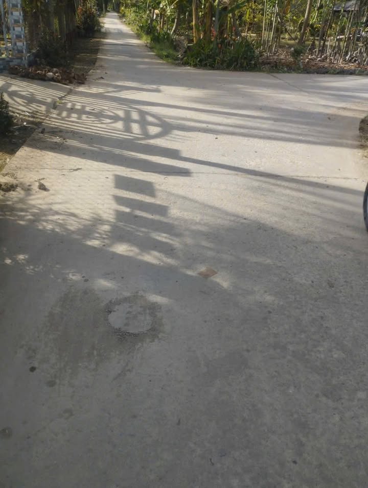 Bán Gấp Đất Vườn 9000m² MT 138m Xã Định Thủy, Bến Tre - Giá Đầu Tư 5.85 Tỷ