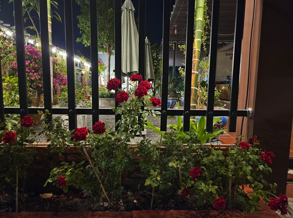 Bán nhà Phường 2 Vũng Tàu 178m² 11 tỷ - Vị trí đẹp gần biển!