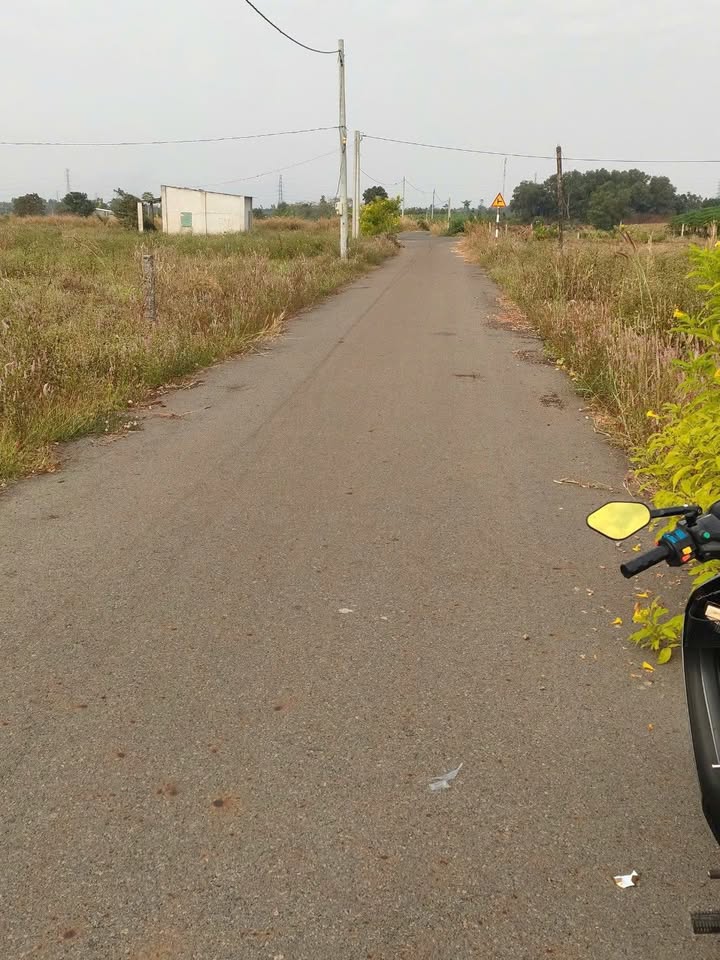 Bán đất sào Đá Bạc Châu Đức 1000m² giá 1.25 tỷ - Sổ đỏ chính chủ