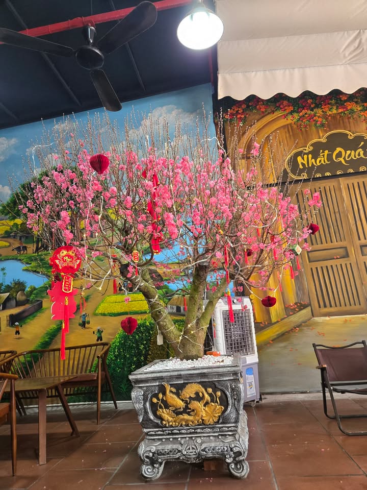 Đất nền Đa Mai Bắc Giang 90.5m² - Pháp lý rõ ràng!