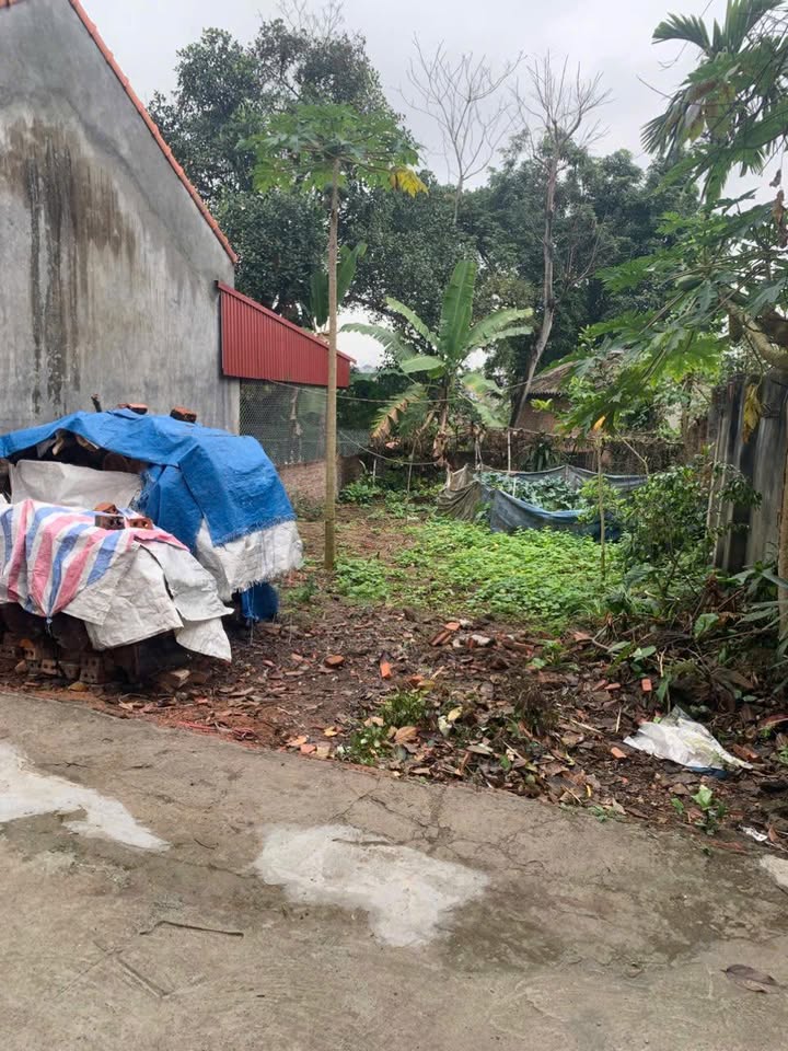 Bán gấp đất 106m² hai mặt tiền Trần Phú, Việt Trì - Giá 1.8 tỷ