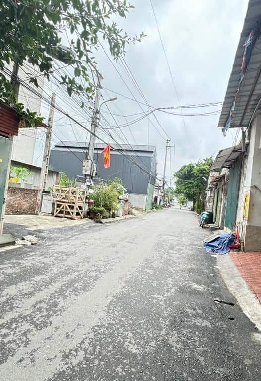 Đất nền Hải Bối Đông Anh 51m² Nhỉnh 3 tỷ - Đất thổ cư 100%