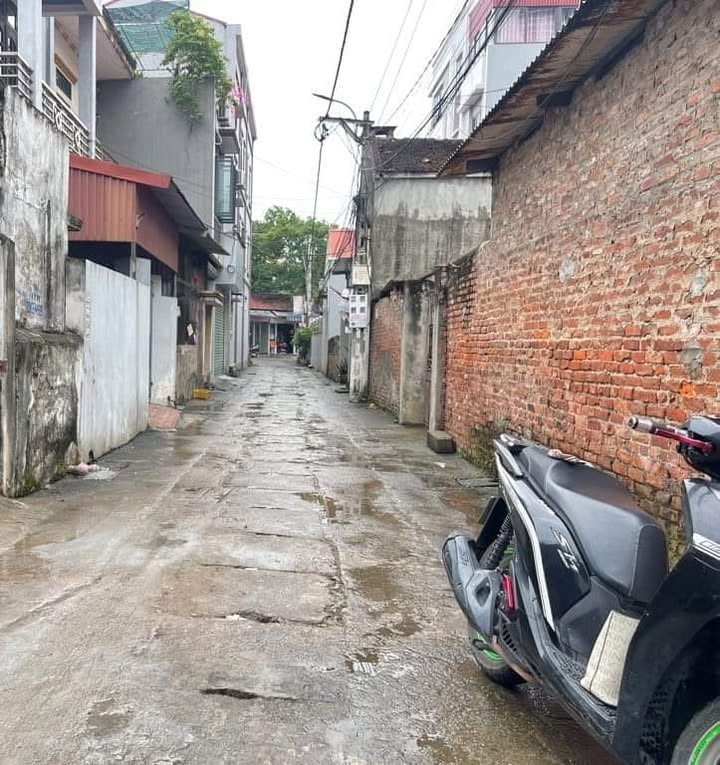 Đất nền Vĩnh Ngọc 59m² hơn 5 tỷ - Sổ đỏ chính chủ, đường ô tô!