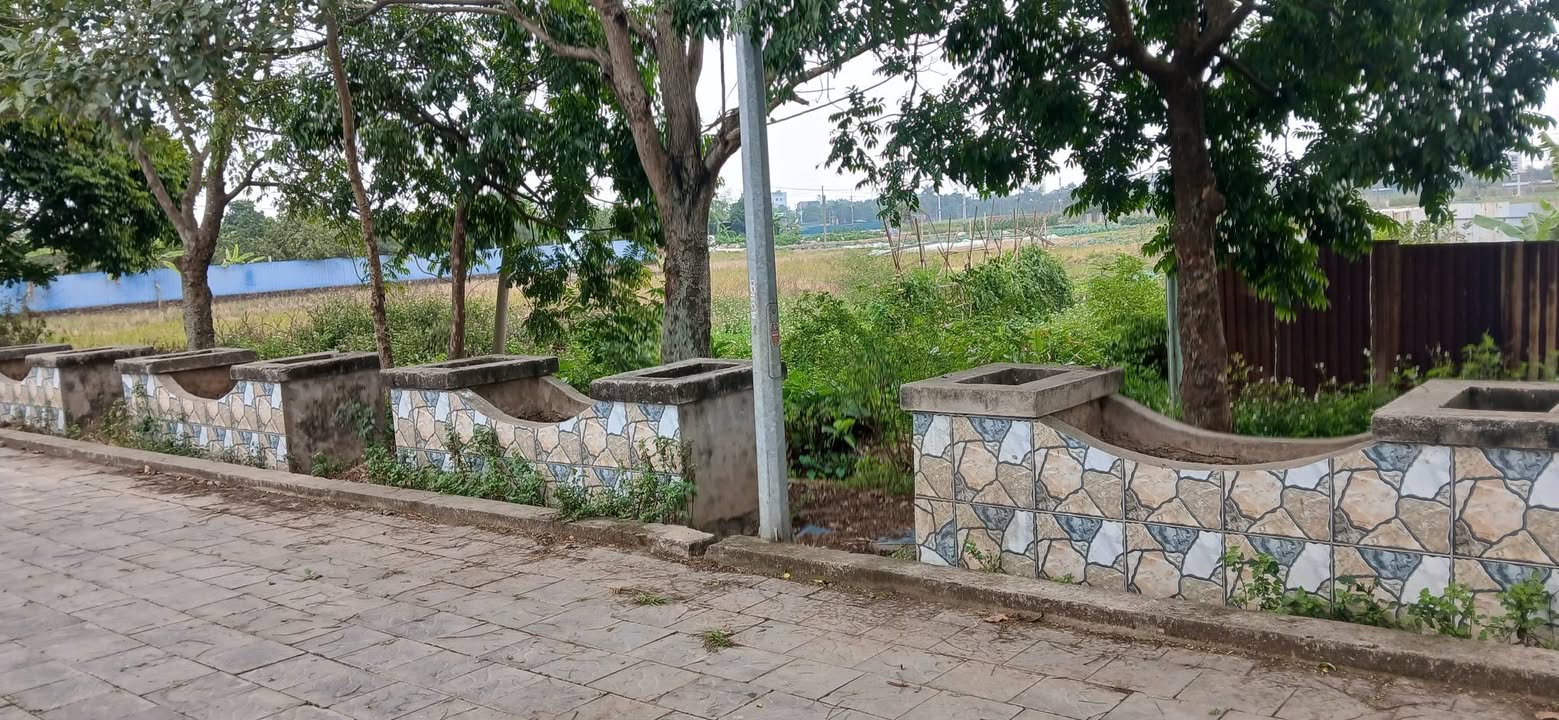 Đất nông nghiệp Nam Hồng Đông Anh 562m² - Đầu tư sinh thái bền vững