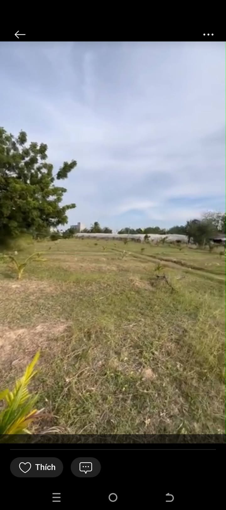 Đất trồng cây lâu năm Bình Quý Ninh Phước 1284m² - Ô tô vào tận nơi!