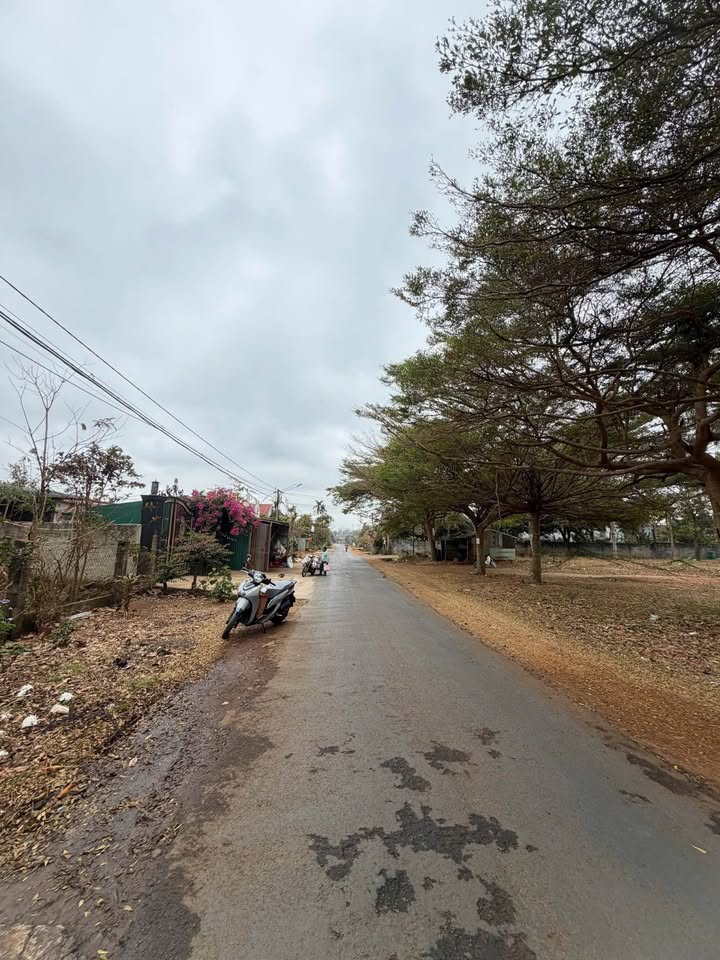 Đất nền mặt tiền Nguyễn Xuân Nguyên, Buôn Ma Thuột – 200m² kinh doanh đắc lợi