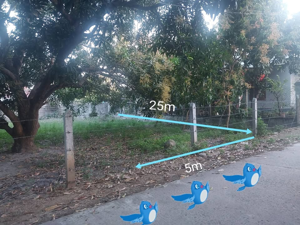 Đất nền Cam Lâm 108m² giá 1.47 tỷ - Đất thổ cư 100% sổ sẵn!