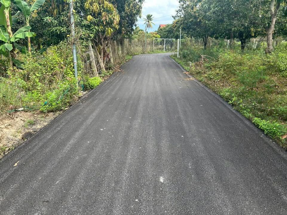 Đất Nền Diên Khánh 174m² Sổ Hồng Riêng - Giá Đầu Tư 957 Triệu