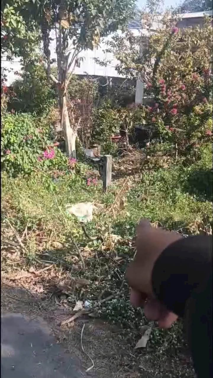 Đất nền TP Tây Ninh 500m² - Đất thổ cư 100%!