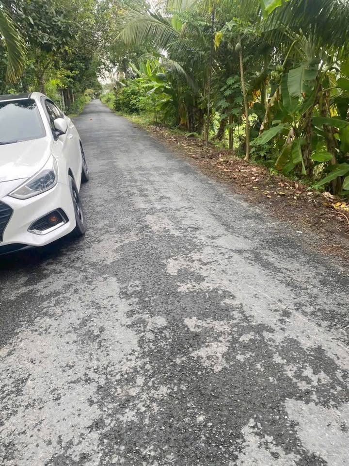 Bán Đất Mặt Tiền 750m² Vĩnh Long - Sổ Đỏ Sẵn Sàng