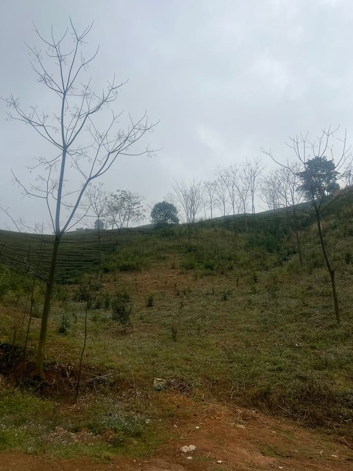 Đất Vườn Vân Hồ 1069m² - Sổ Hồng Sẵn - Gần KDL Thác Chiềng Khoa