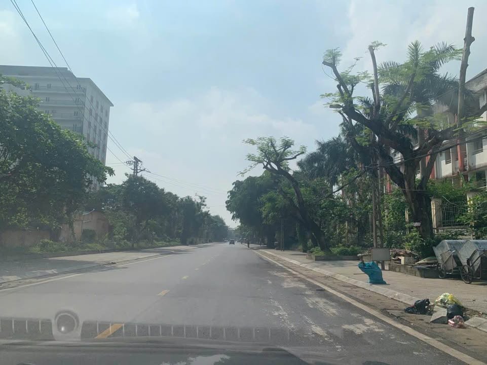 Bán Đất Lô Góc Mặt Tiền Ao Vua, Long Biên - 735m² Kinh Doanh Đa Ngành