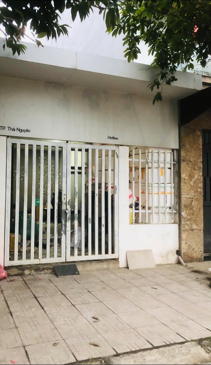 Thuê nhà nguyên căn Đường số 3 Hồ Xương Rồng - Sống xanh, ở chất!