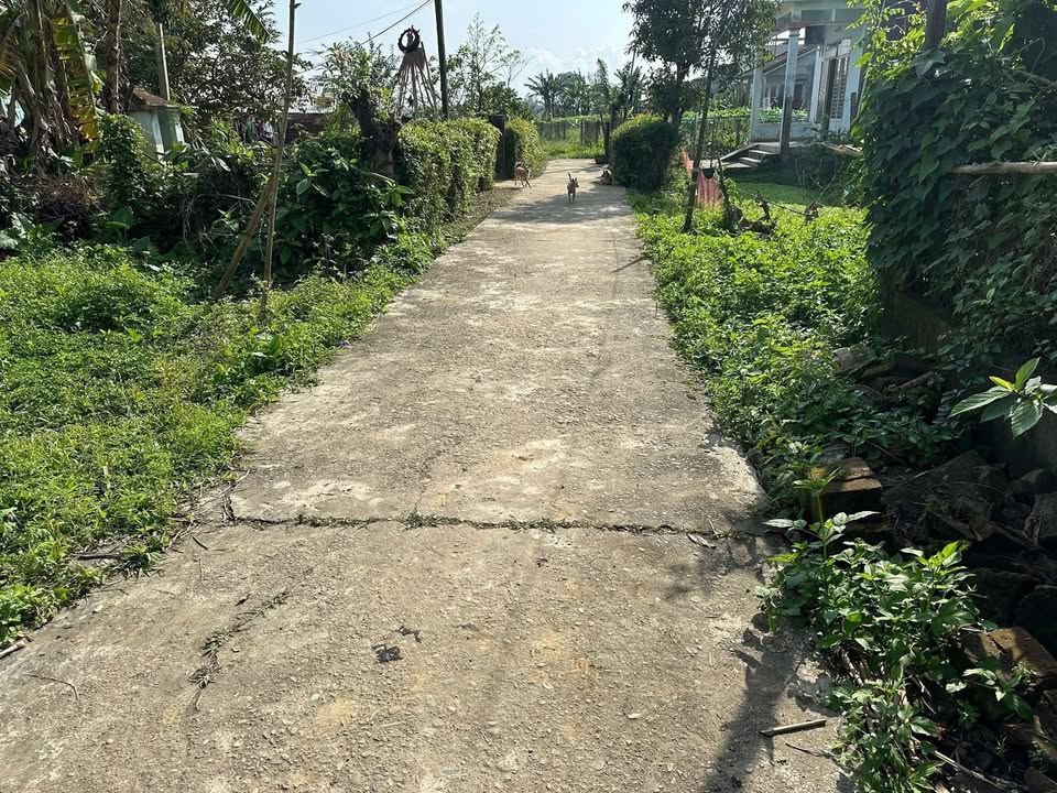 Đất nền Xã Phước Mỹ, Phước Sơn 138m² - Sổ hồng chính chủ