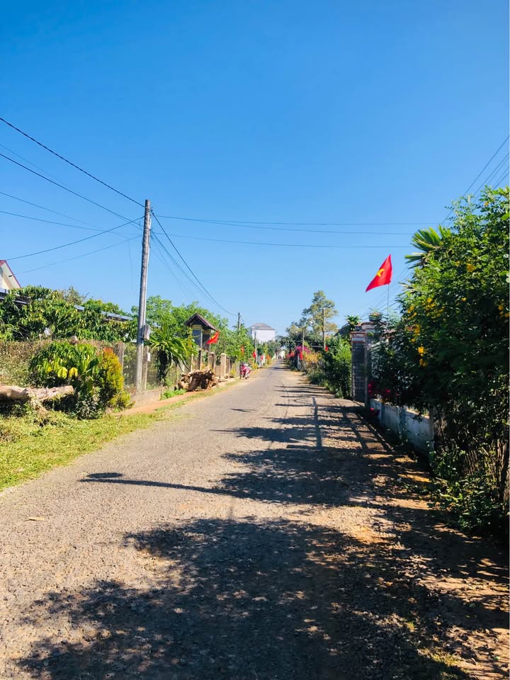 Bán đất Lộc An Bảo Lâm 100m² giá 480 triệu - Đất thổ cư 100%!